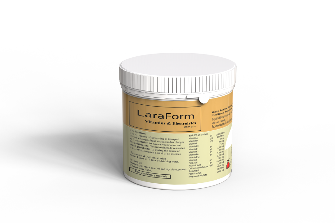 3D LaraForm supplement jar Modeling